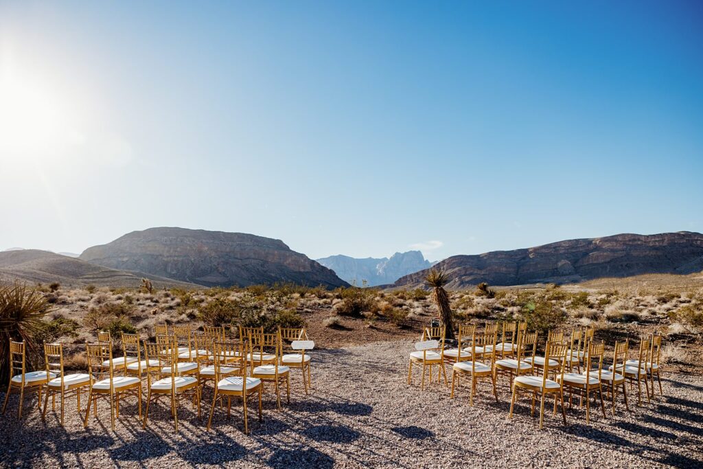 Cactus Joe's wedding ceremony on Desert Love Land