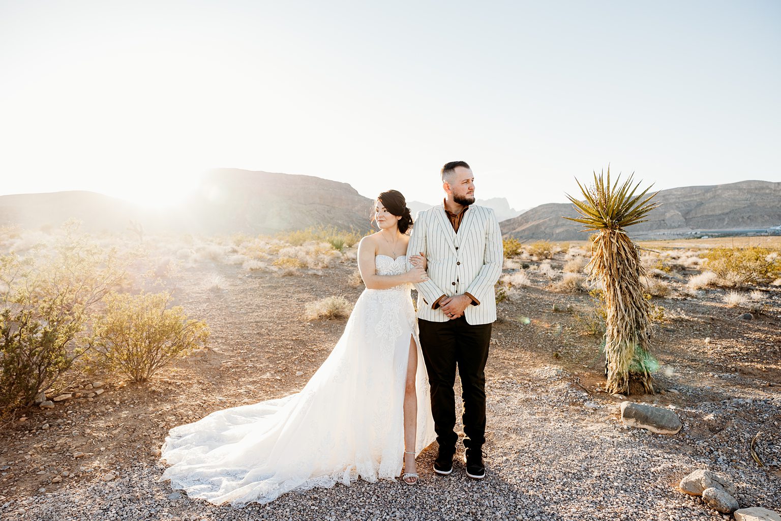 Bride and grooms Cactus Joe's wedding portraits in Las Vegas