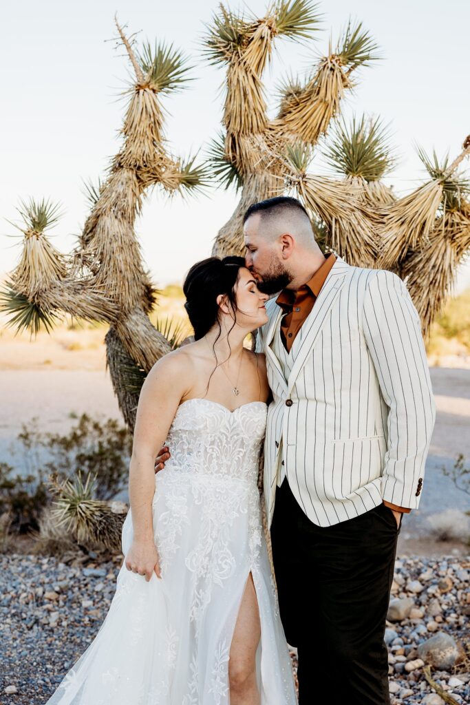 Groom kissing his bride on the forehead during their Cactus Joe's wedding on Desert Love Land